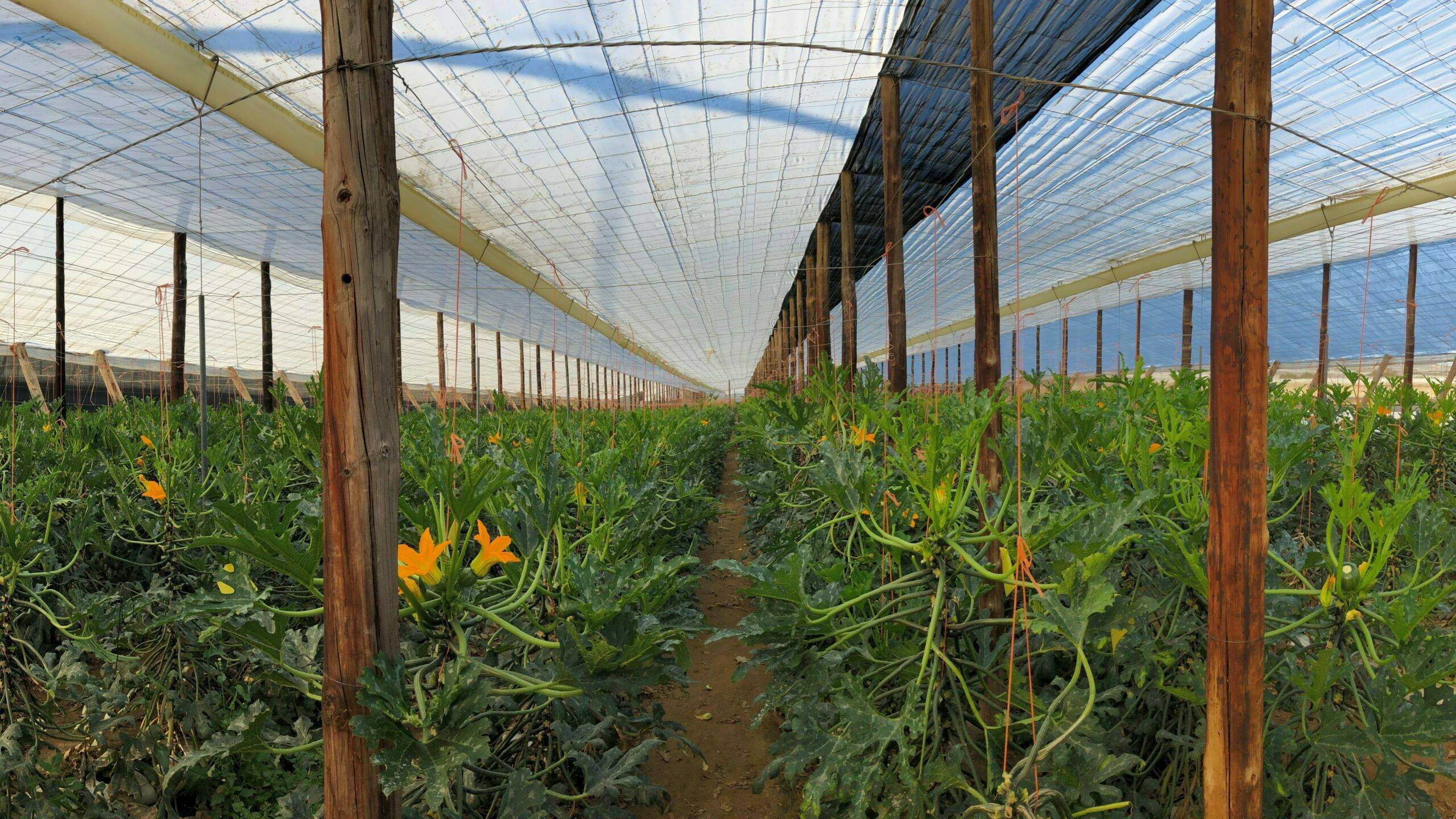 ITC-bombas-riego|ITC-bombas-riego